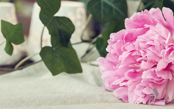 Tích điểm nhận quà