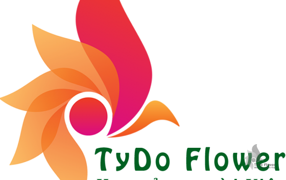 Giới thiệu TyDo Flower - Shop Hoa TyDo