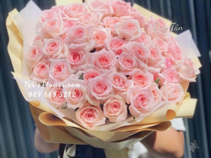 B122227 BÓ HOA HỒNG OHARA PINK HOA CHÚC MỪNG