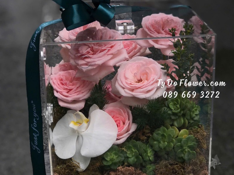 G09241883 HỘP QUÀ HOA TƯƠI CAO CẤP Thiết Kế Giỏ Mica, chủ đạo Hoa Hồng Pink Ohara Roses, Hoa Sen Đá