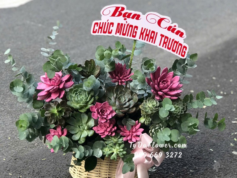 G10241911 GIỎ HOA MỪNG KHAI TRƯƠNG thiết kế Hoa Sen Đá