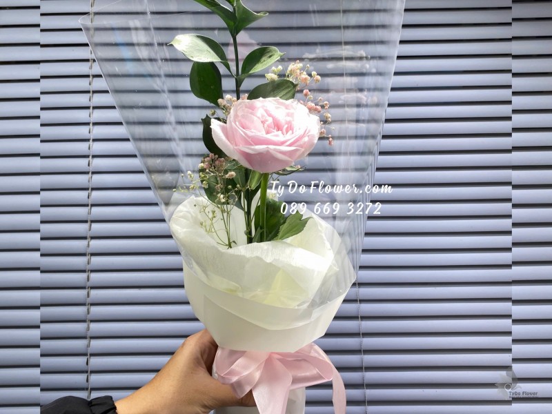 B10242018 ĐẶT TỪ 30 BÓ HOA CHÚC MỪNG thiết kế 01 Bông Hồng Pink Ohara Rose