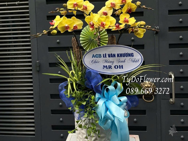 L0825594 CHẬU 05 CÀNH LAN HỒ ĐIỆP VÀNG Thiết kế cây xanh tiểu cảnh