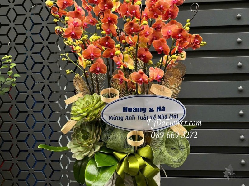 L0825765 CHẬU 15 CÀNH LAN HỒ ĐIỆP ĐỎ CAM Hoa Chúc Mừng Tân Gia Thiết kế hoa sen đá, phụ kiện trang trí cao cấp