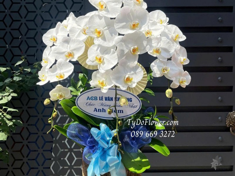 L0825768 CHẬU 03 CÀNH LAN HỒ ĐIỆP TRẮNG Hoa Chúc Mừng Sinh Nhật Thiết kế phụ kiện trang trí cơ bản