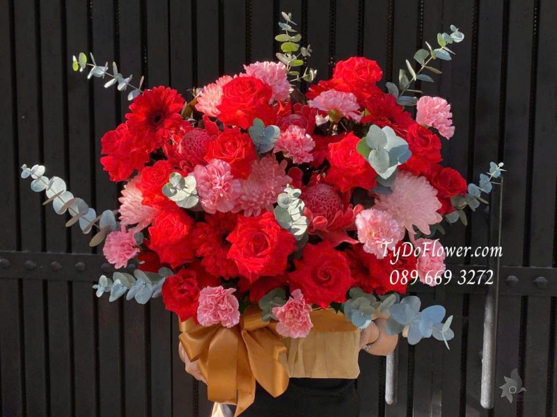 G1025836 GIỎ HOA CHÚC MỪNG Thiết kế gam màu đỏ hồng, hoa hồng đỏ Ecuador, phăng hồng, cúc trắng nhuộm màu