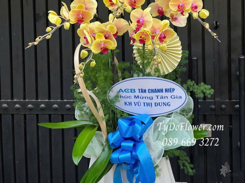 L0126037 CHẬU 05 CÀNH LAN HỒ ĐIỆP VÀNG Hoa Chúc Mừng Tân Gia Thiết kế Cây Xanh Tiểu Cảnh