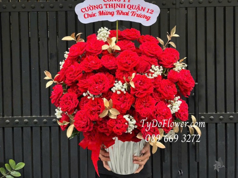 BI0226110 BÌNH HOA HỒNG ĐỎ RED OHARA ROSE Hoa chúc mừng khai trương
