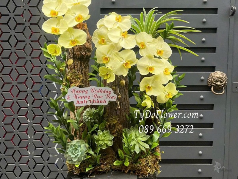 L0226138 HỒ ĐIỆP VÀNG THIẾT KẾ GỖ LŨA SEN ĐÁ CÂY XANH TIỂU CẢNH CAO CẤP