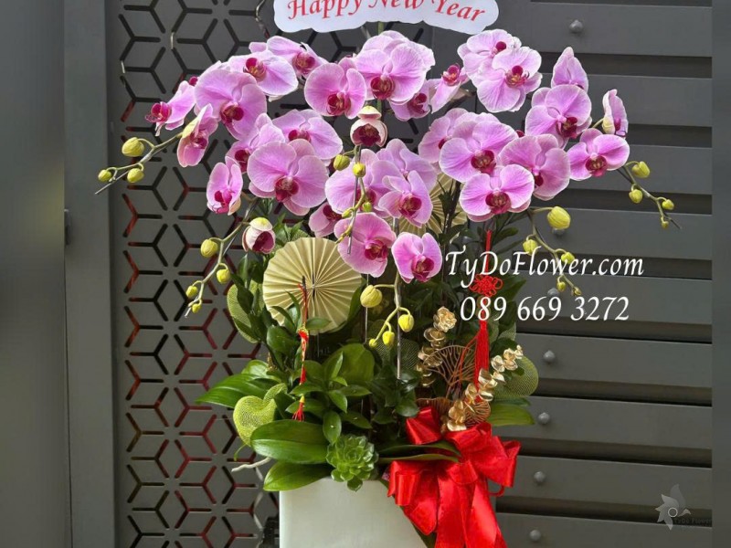 L0226200 CHẬU 06 CÀNH LAN HỒ ĐIỆP HỒNG Thiết kế hoa sen đá, phụ kiện trang trí cao cấp