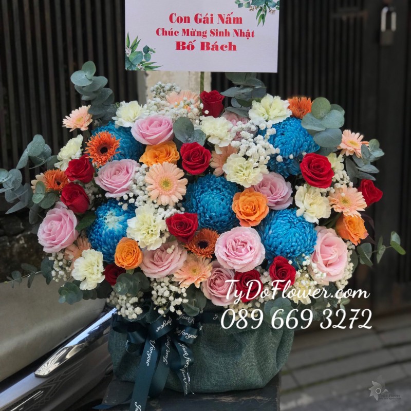 G122242 GIỎ HOA CHÚC MỪNG SINH NHẬTthiết kế hoa Cúc Mẫu Đơn xanh dương, hoa hồng Ohara Pink Roses, Cam Spirit, Ecuador, cầm chướng, hoa lá phụ