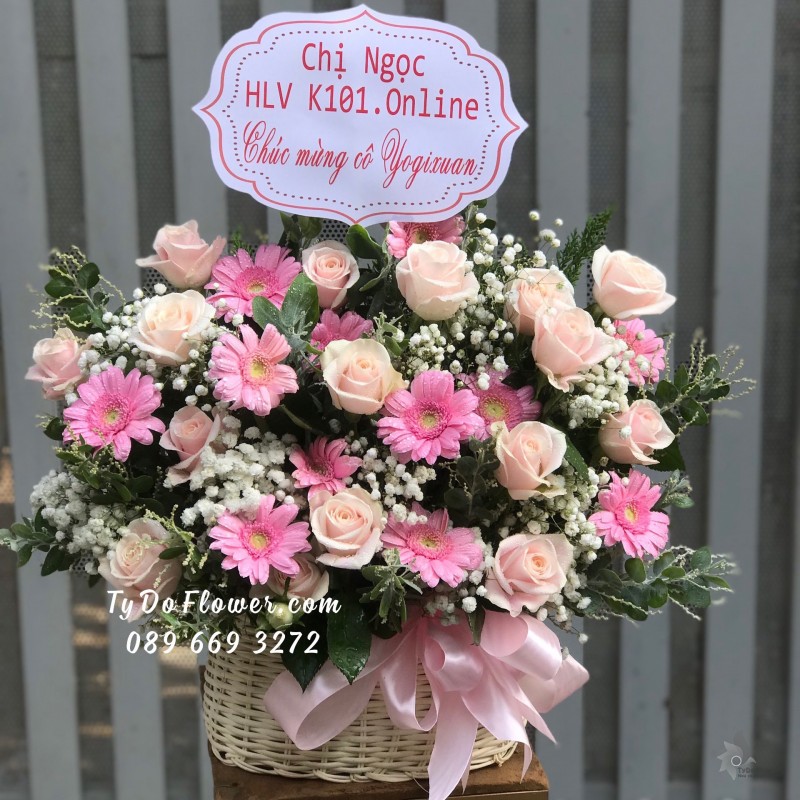G01241290 GIỎ HOA CHÚC MỪNG thiết kế hoa hồng kem mix đồng tiền mini hồng