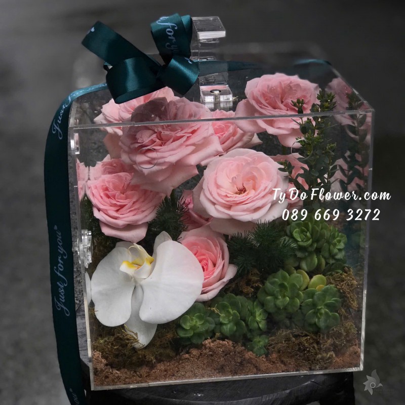 G09241883 HỘP QUÀ HOA TƯƠI CAO CẤP Thiết Kế Giỏ Mica, chủ đạo Hoa Hồng Pink Ohara Roses, Hoa Sen Đá