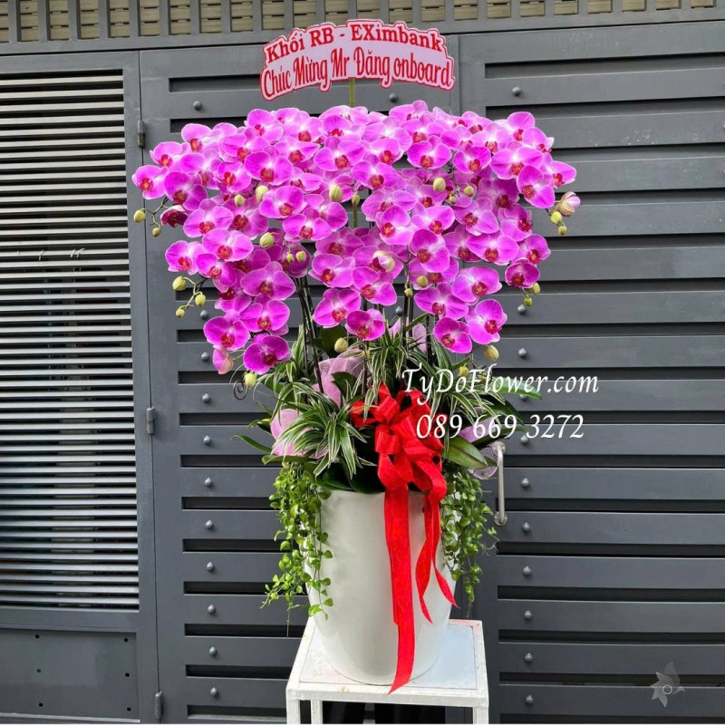 L0725515 CHẬU 12 CÀNH LAN HỒ ĐIỆP HỒNG Thiết kế cây xanh tiểu cảnh, phụ kiện trang trí cao cấp