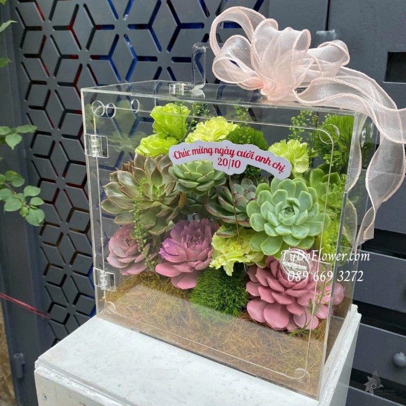 G1025840 GIỎ HOA CHÚC MỪNG Thiết kế hoa sen đá trong hộp Mica cao cấp