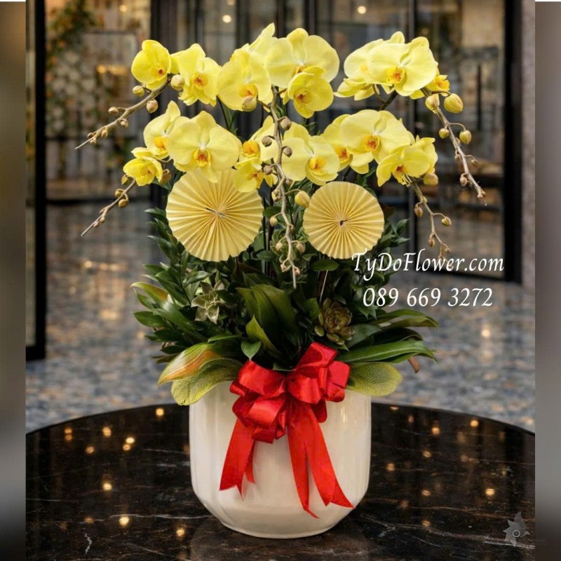 L0126010 CHẬU 06 CÀNH LAN HỒ ĐIỆP VÀNG CHANH Thiết kế Hoa Sen Đá, Lá Xanh và phụ kiện trang trí cao cấp