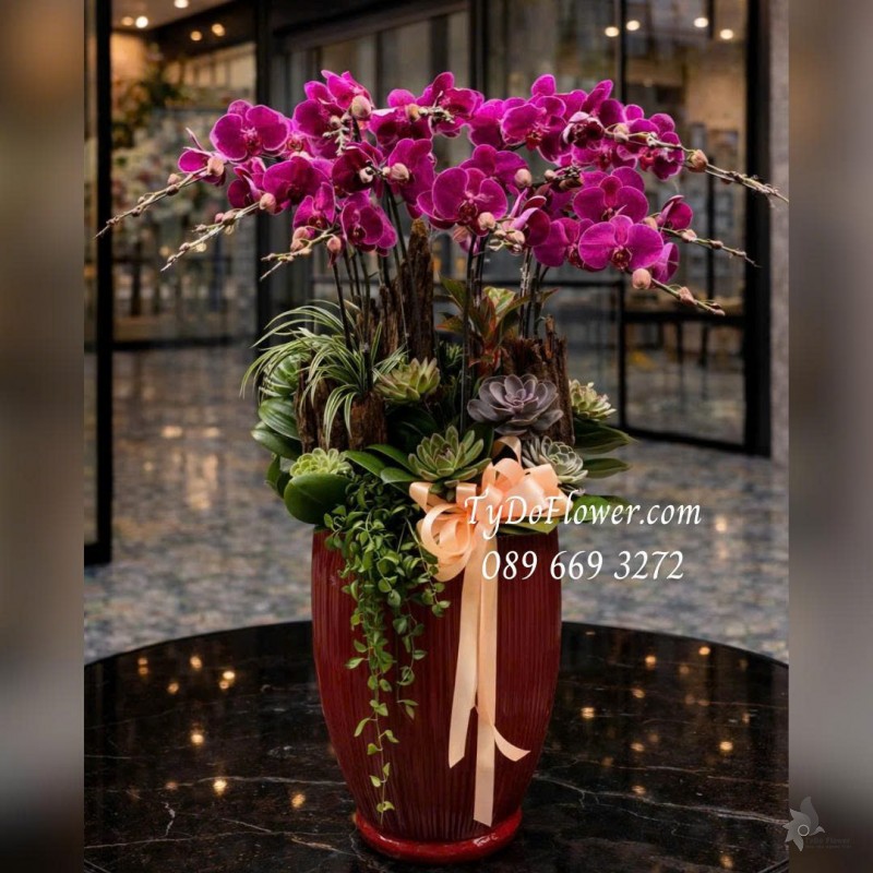 L0126011 CHẬU 12 CÀNH LAN HỒ ĐIỆP TÍM Thiết kế Hoa Sen Đá, Cây Xanh Tiểu Cảnh theo phong cách mộc mạc