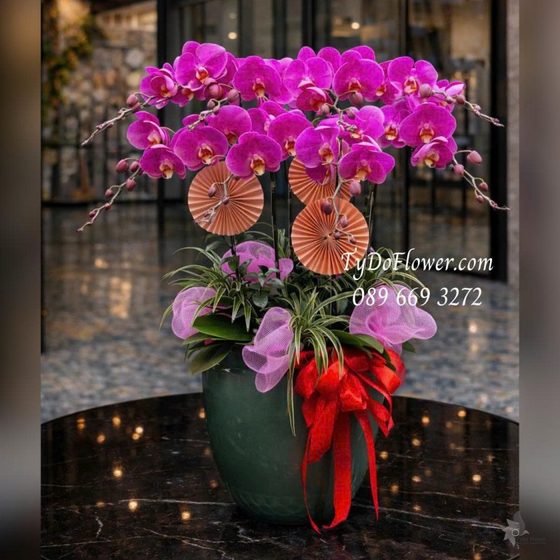 L0126012 CHẬU 08 CÀNH LAN HỒ ĐIỆP TÍM Thiết kế Cây Xanh Tiểu Cảnh và phụ kiện trang trí cao cấp