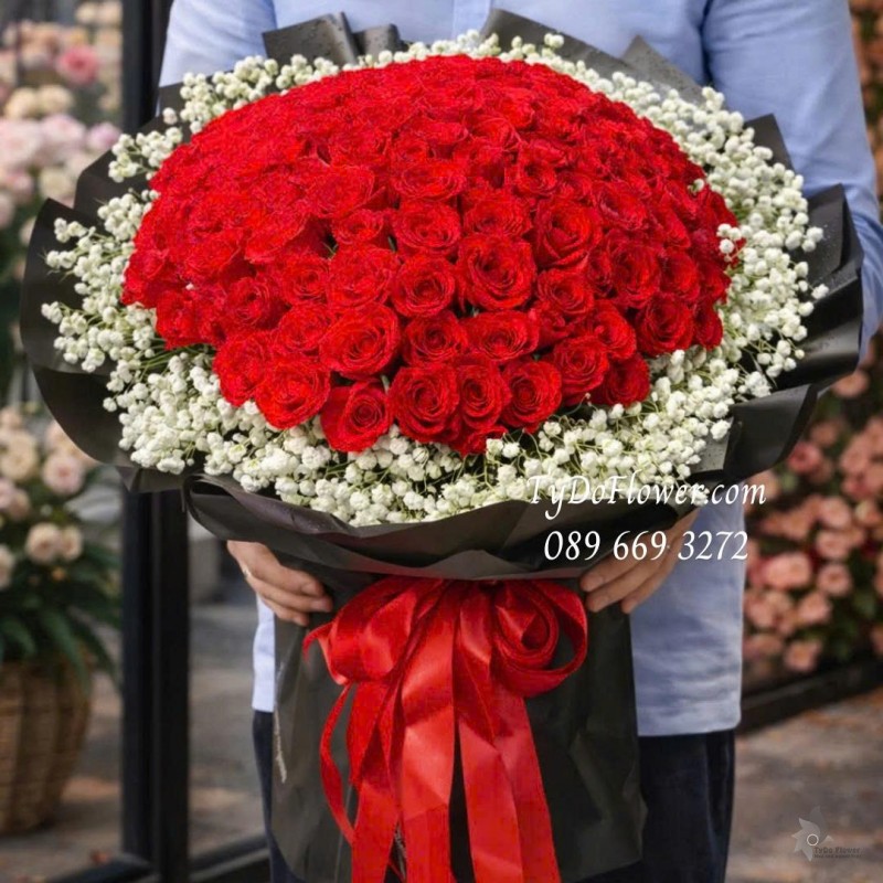 B0126062 Bó Hoa Hồng Đỏ Ecuador, Baby Trắng