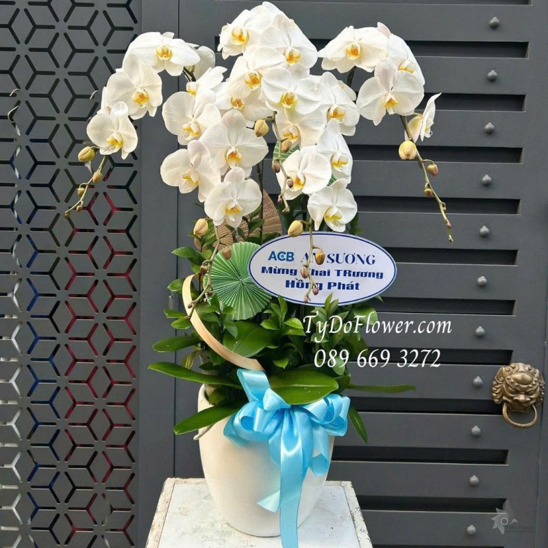 L0226081 CHẬU 05 CÀNH LAN HỒ ĐIỆP TRẮNG Thiết kế phụ kiện trang trí cao cấp