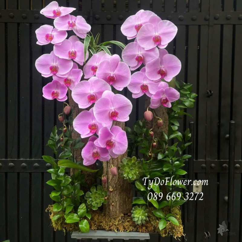 L0226083 HỒ ĐIỆP HỒNG THIẾT KẾ GỖ LŨA SEN ĐÁ CAO CẤP