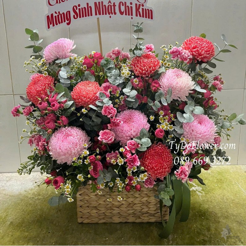 G0226097 GIỎ HOA CÚC MẪU ĐƠN HỒNG Hoa chúc mừng sinh nhật chị