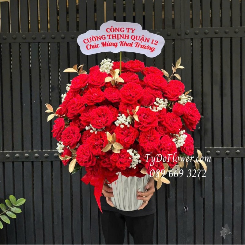BI0226110 BÌNH HOA HỒNG ĐỎ RED OHARA ROSE Hoa chúc mừng khai trương