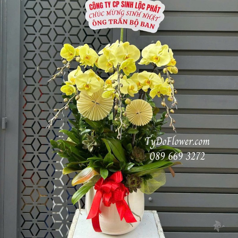 L0226130 CHẬU 06 CÀNH LAN HỒ ĐIỆP VÀNG Thiết kế hoa sen đá, phụ kiện trang trí cơ bản