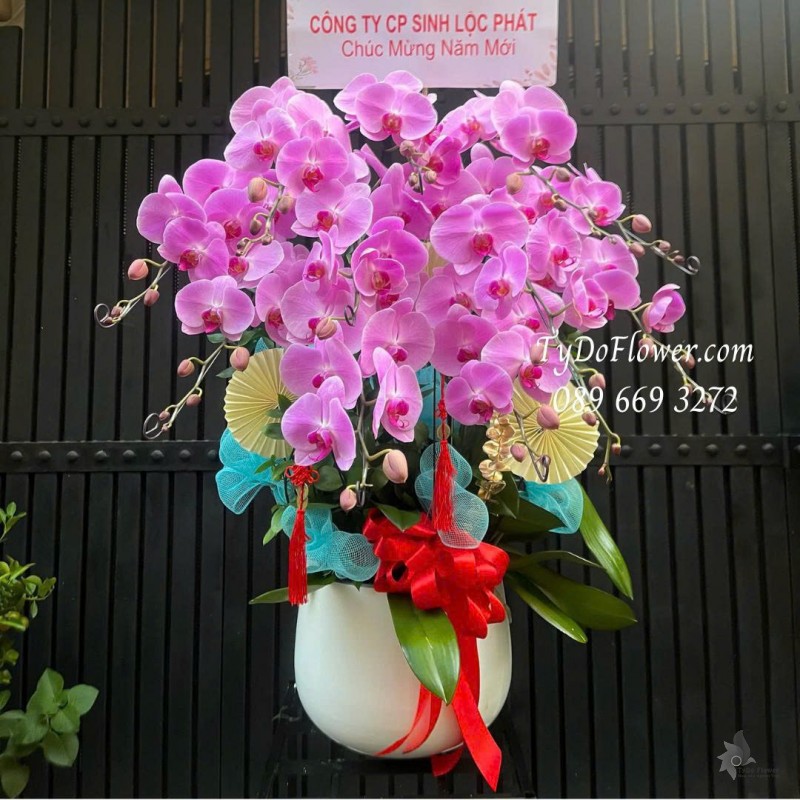 L0226133 CHẬU 12 CÀNH LAN HỒ ĐIỆP hồng Thiết kế phụ kiện trang trí cơ bản