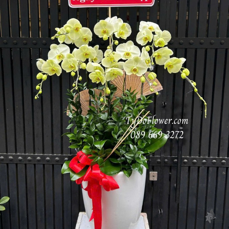 L0226135 CHẬU 08 CÀNH LAN HỒ ĐIỆP VÀNG Thiết kế phụ kiện trang trí cơ bản