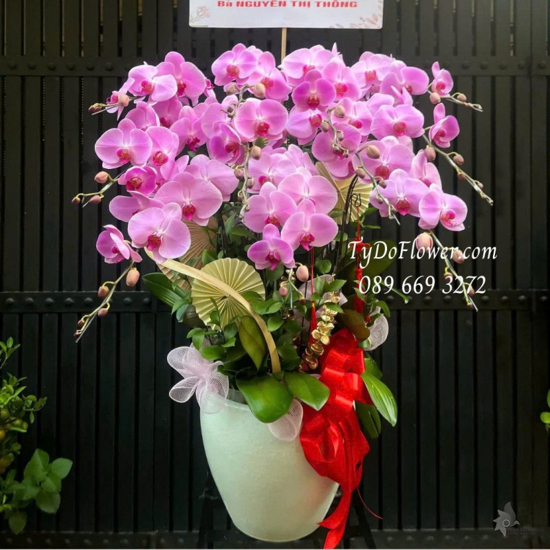 L0226136 CHẬU 12 CÀNH LAN HỒ ĐIỆP HỒNG Thiết kế phụ kiện trang trí cơ bản