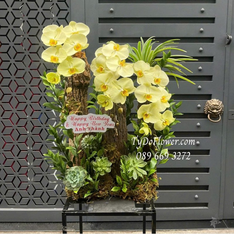 L0226138 HỒ ĐIỆP VÀNG THIẾT KẾ GỖ LŨA SEN ĐÁ CÂY XANH TIỂU CẢNH CAO CẤP