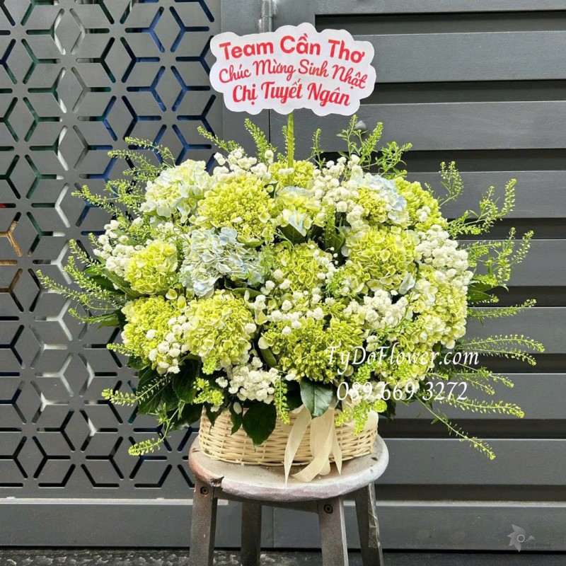G0226170 GIỎ HOA CHÚC MỪNG SINH NHẬT Thiết kế hoa cẩm tú cầu xanh bơ